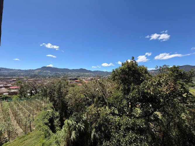 Apartamento de 1 alcoba en venta en La Milagrosa, La Ceja, 67 m² · foto 14 de 14
