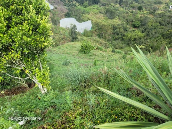 Finca en venta en Salto Abajo, Marinilla, 250 m² · foto 4 de 16