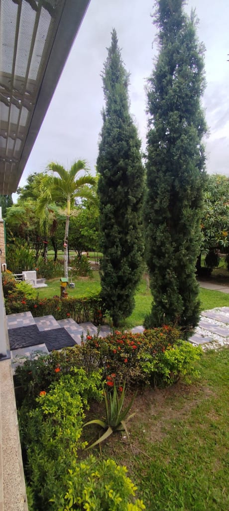 Casa de 3 alcobas en venta en El Cural, Ibagué, 234 m² · foto 6 de 24
