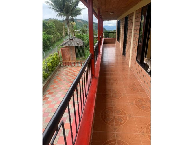 Finca en venta en La Bella, Pereira, 480 m² · foto 5 de 24