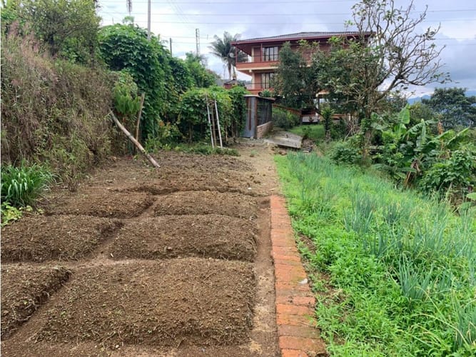 Finca en venta en La Bella, Pereira, 480 m² · foto 6 de 24