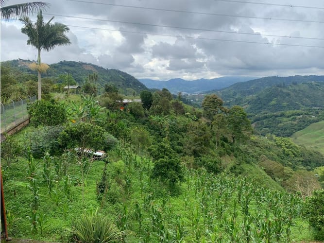 Finca en venta en La Bella, Pereira, 480 m² · foto 11 de 24