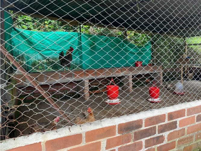 Finca en venta en La Bella, Pereira, 480 m² · foto 13 de 24