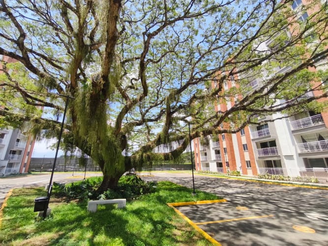 Apartamento de 2 alcobas en venta en 12 De Octubre, Cali, 53 m² · foto 7 de 23