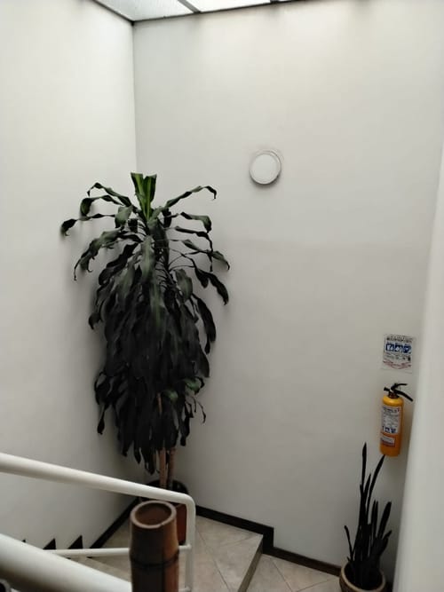 Apartaestudio en arriendo en Chapinero Alto, Bogotá, 25 m² · foto 2 de 10