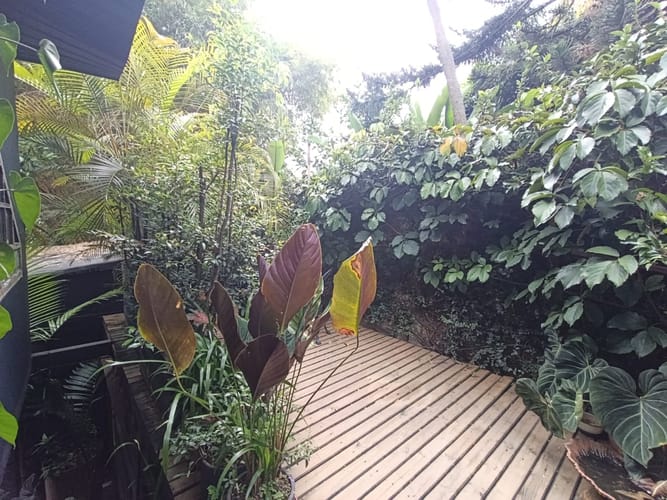 Bodega en arriendo en El Poblado, Medellín, 652 m² · foto 7 de 20