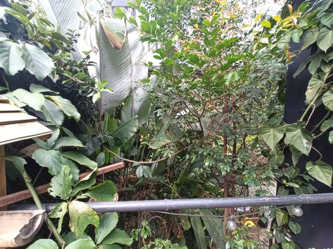 Bodega en arriendo en El Poblado, Medellín, 652 m² · foto 11 de 20