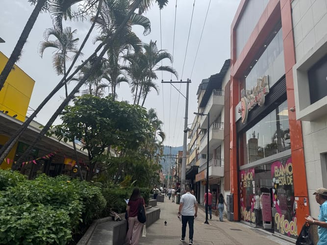 Local en arriendo en Zona Centro, Envigado, 613 m² · foto 4 de 8