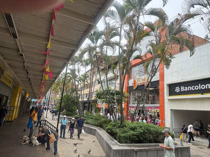 Local en arriendo en Zona Centro, Envigado, 613 m² · foto 7 de 8