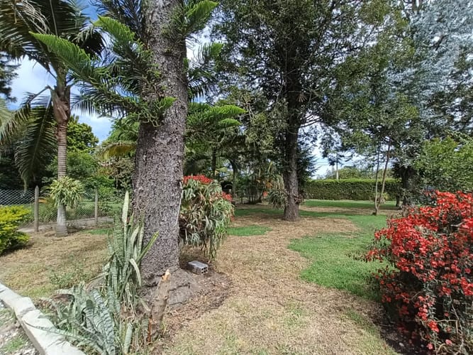 Finca en arriendo en El Porvenir, Rionegro, 400 m² · foto 3 de 20