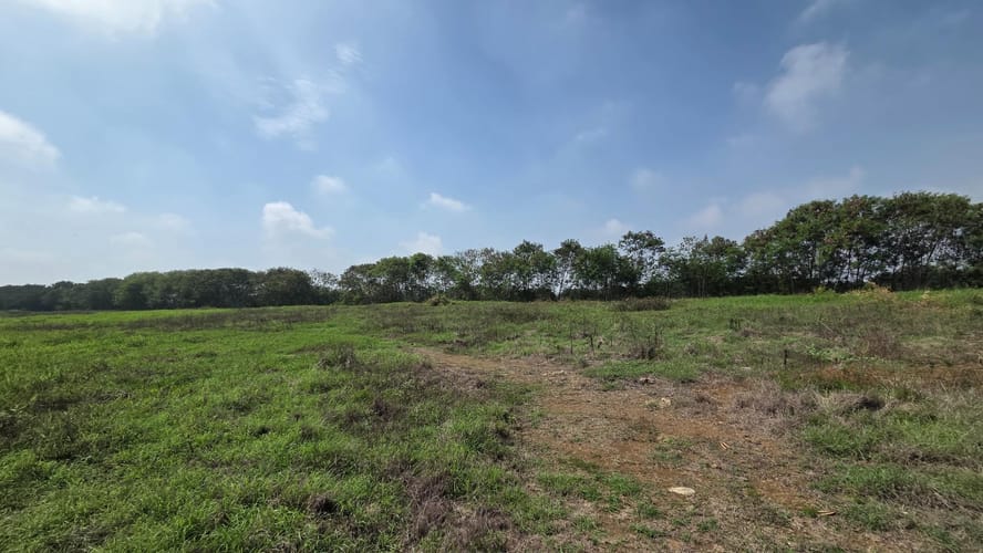 Lote en venta en El Carmelo, Candelaria, 31244 m² · foto 7 de 14