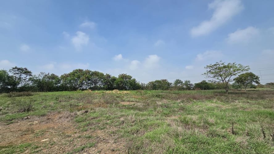 Lote en venta en El Carmelo, Candelaria, 31244 m² · foto 10 de 14