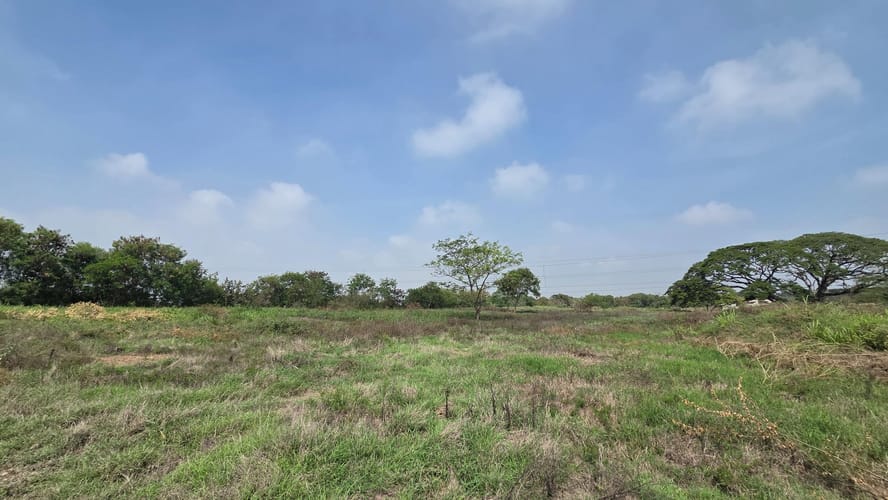 Lote en venta en El Carmelo, Candelaria, 31244 m² · foto 4 de 14