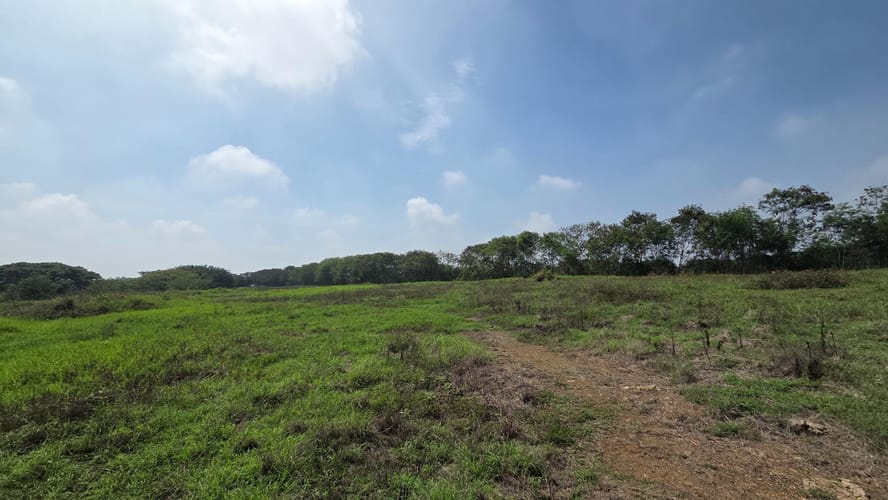 Lote en venta en El Carmelo, Candelaria, 31244 m² · foto 6 de 14
