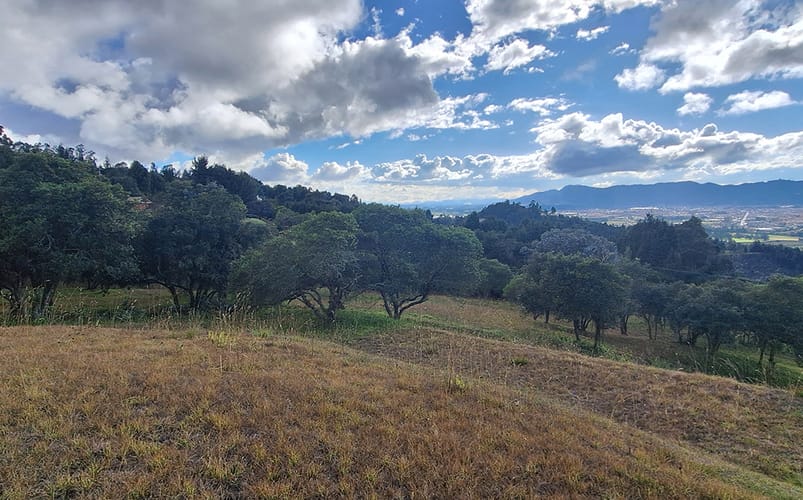 Lote en venta en Altos De Yerbabuena, Chía, 12140 m² · foto 3 de 19