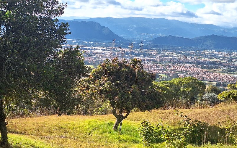Lote en venta en Altos De Yerbabuena, Chía, 12140 m² · foto 5 de 19