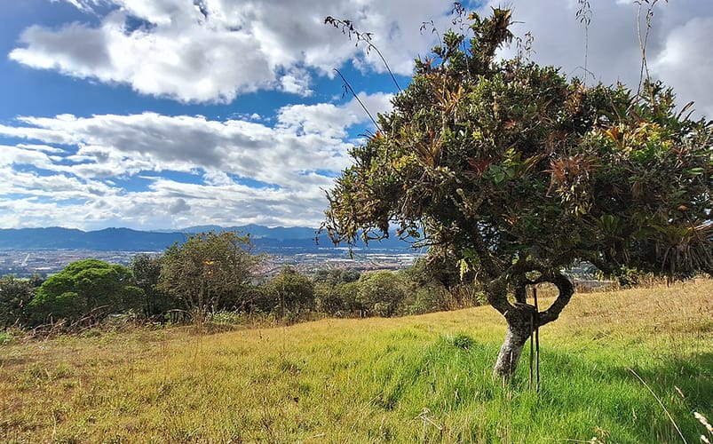 Lote en venta en Altos De Yerbabuena, Chía, 12140 m² · foto 6 de 19