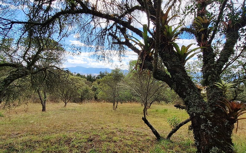 Lote en venta en Altos De Yerbabuena, Chía, 12140 m² · foto 7 de 19