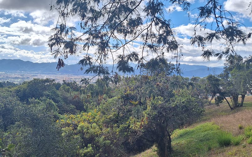 Lote en venta en Altos De Yerbabuena, Chía, 12140 m² · foto 8 de 19