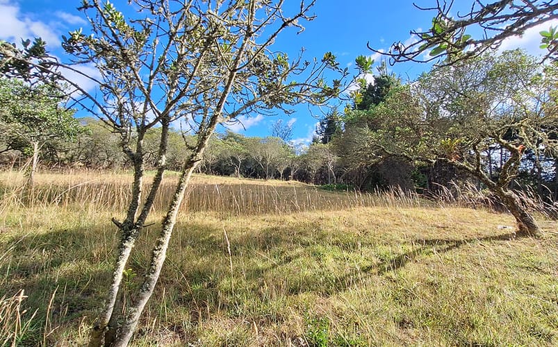 Lote en venta en Altos De Yerbabuena, Chía, 12140 m² · foto 9 de 19