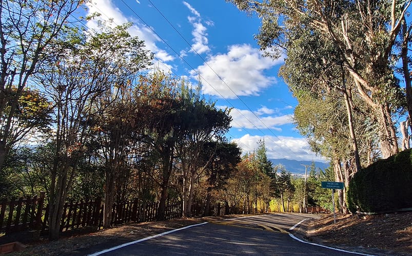 Lote en venta en Altos De Yerbabuena, Chía, 12140 m² · foto 16 de 19