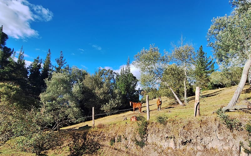 Lote en venta en Altos De Yerbabuena, Chía, 12140 m² · foto 17 de 19