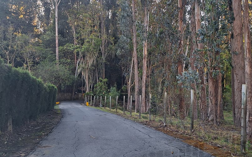 Lote en venta en Altos De Yerbabuena, Chía, 12140 m² · foto 19 de 19