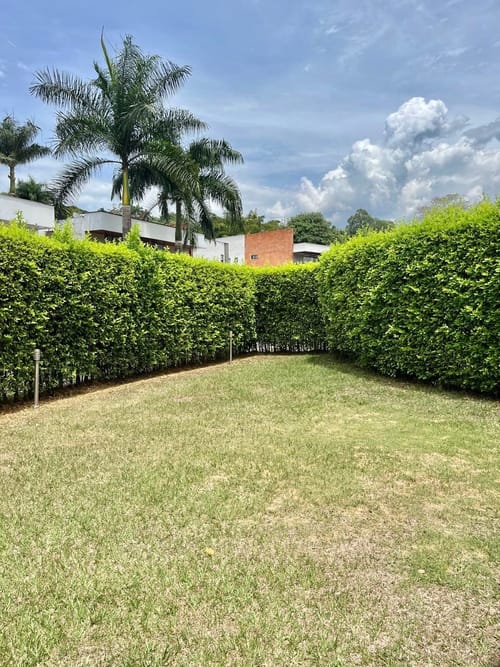 Casa de 3 alcobas en venta en Pance, Cali, 303 m² · foto 19 de 19