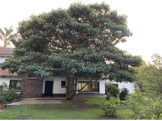 Casa de 3 alcobas en venta en Fagua, Chía, 340 m² · foto 3 de 24