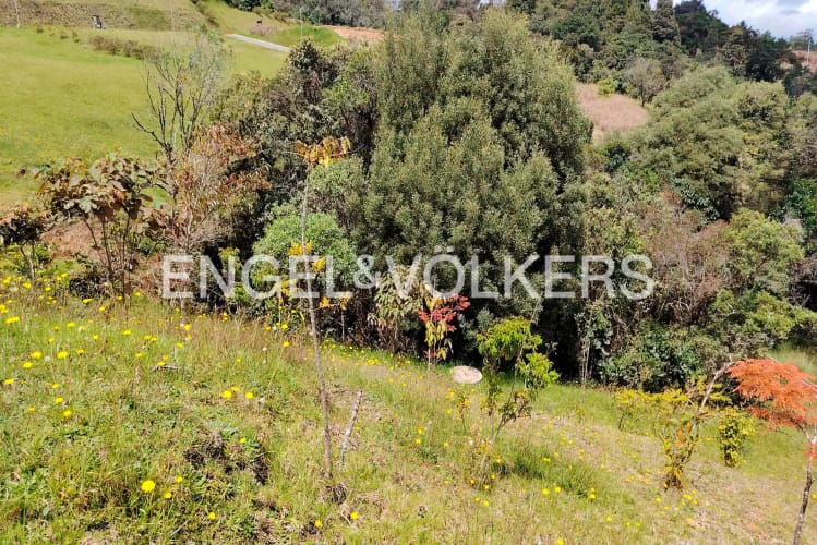 Lote en venta en Las Palmas, Medellín · foto 5 de 7