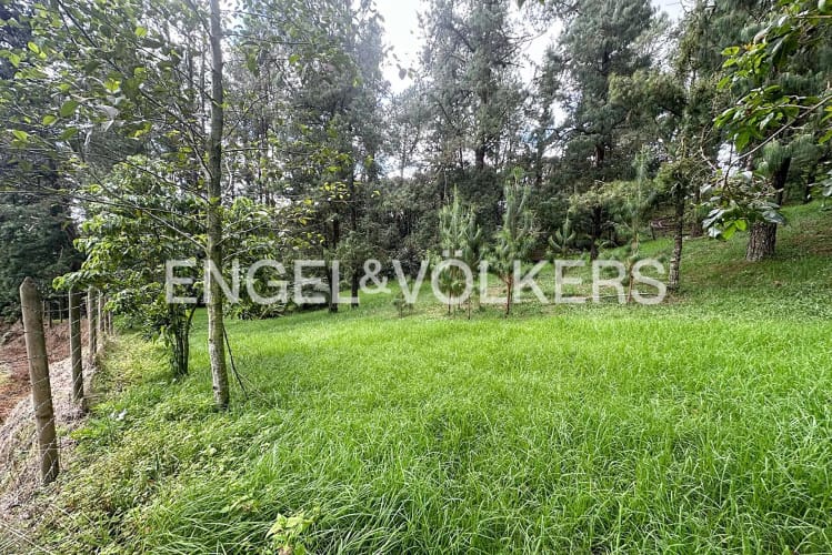Lote en venta en Las Palmas, Envigado · foto 6 de 10