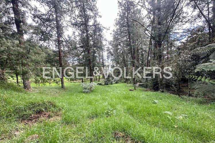 Lote en venta en Las Palmas, Envigado · foto 4 de 10