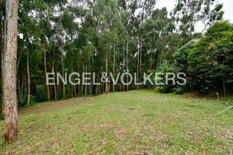Lote en venta en Las Palmas, Envigado · foto 4 de 10