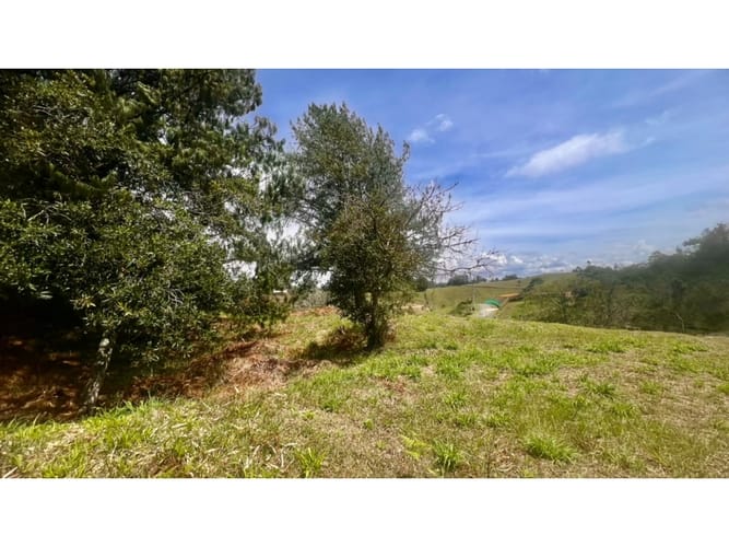 Lote en venta en El Carmen De Viboral, El Carmen de Viboral · foto 4 de 10