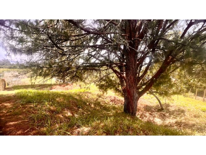 Lote en venta en El Carmen De Viboral, El Carmen de Viboral · foto 5 de 10
