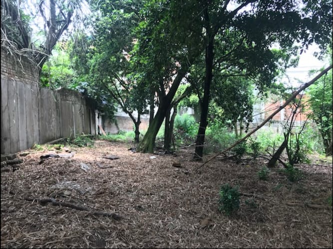Lote en venta en El Bosque, Cali, 4195 m² · foto 6 de 18