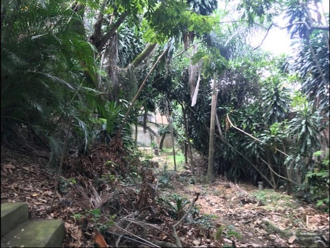 Lote en venta en El Bosque, Cali, 4195 m² · foto 9 de 18