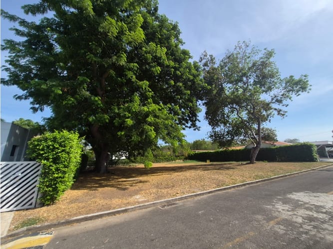 Lote en venta en Bosques De Peñalisa, Ricaurte, 874 m² · foto 5 de 24