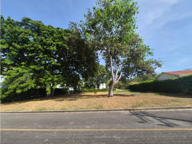 Lote en venta en Bosques De Peñalisa, Ricaurte, 874 m² · foto 6 de 24