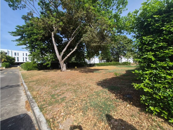 Lote en venta en Bosques De Peñalisa, Ricaurte, 874 m² · foto 8 de 24