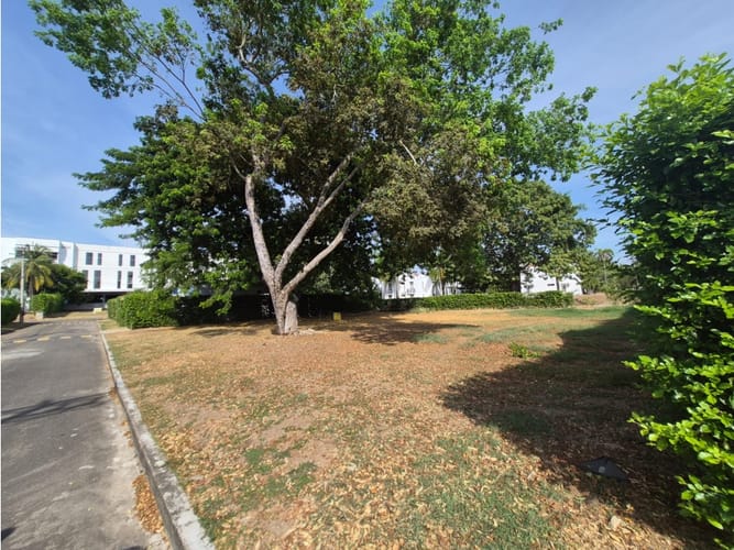 Lote en venta en Bosques De Peñalisa, Ricaurte, 874 m² · foto 9 de 24