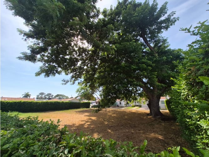 Lote en venta en Bosques De Peñalisa, Ricaurte, 874 m² · foto 11 de 24
