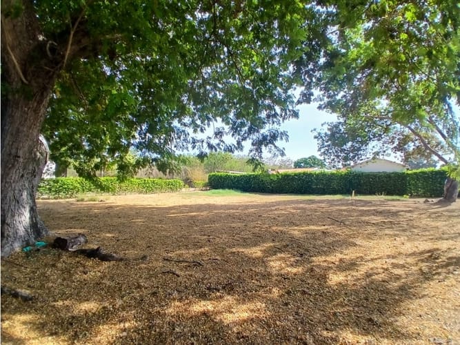 Lote en venta en Bosques De Peñalisa, Ricaurte, 874 m² · foto 12 de 24