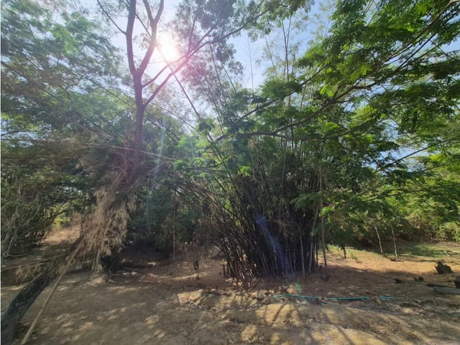 Lote en venta en Bosques De Peñalisa, Ricaurte, 874 m² · foto 22 de 24
