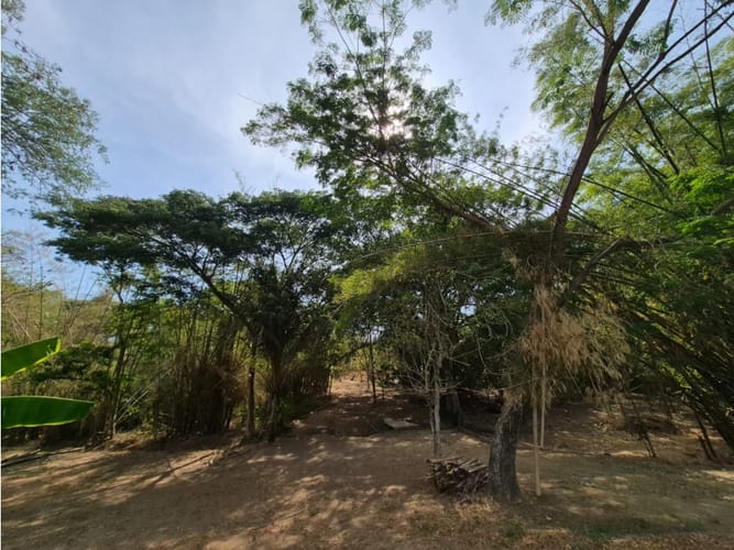 Lote en venta en Bosques De Peñalisa, Ricaurte, 874 m² · foto 23 de 24