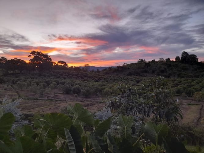 Casa de 4 alcobas en venta en El Capiro, Rionegro · foto 8 de 23