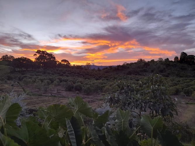 Casa de 4 alcobas en venta en El Capiro, Rionegro · foto 10 de 23
