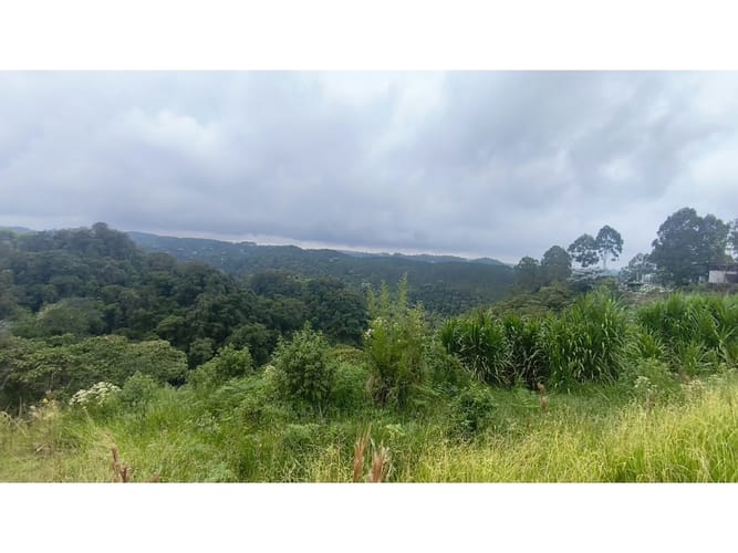 Lote en venta en Tribunas Corcega, Pereira, 16135 m² · foto 8 de 12