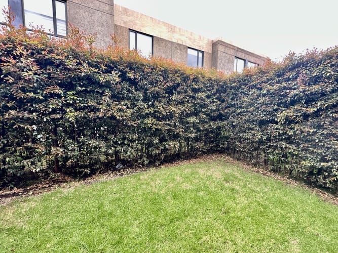 Casa de 3 alcobas en venta en Centro, Cajicá, 105 m² · foto 14 de 24