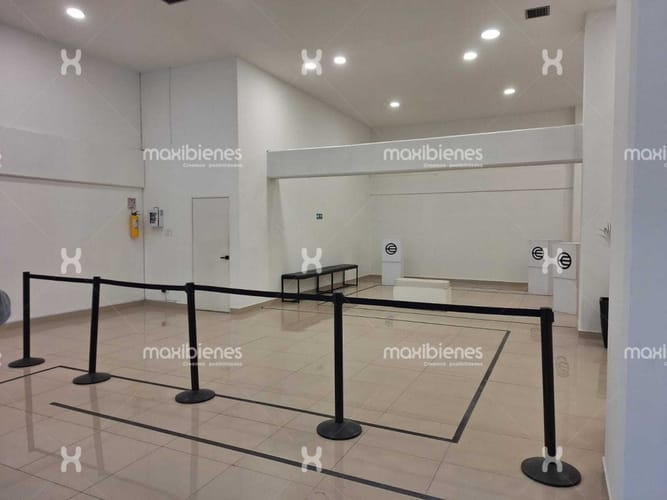 Oficina en arriendo en El Poblado, Medellín, 290 m² · foto 5 de 5